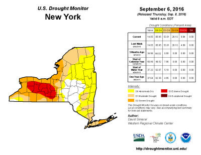 finger lakes drought report