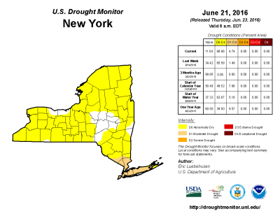 The US Drought Monitor report for June 23, 2016 show the vast majority of New York State as Abnormally Dry.