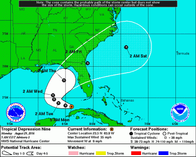 tropical depression nine