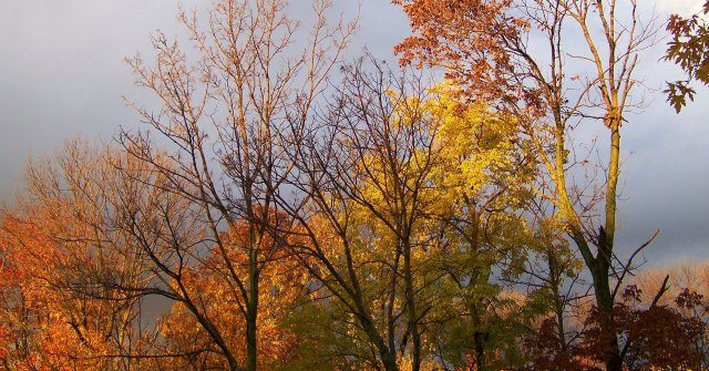 finger lakes weather rain