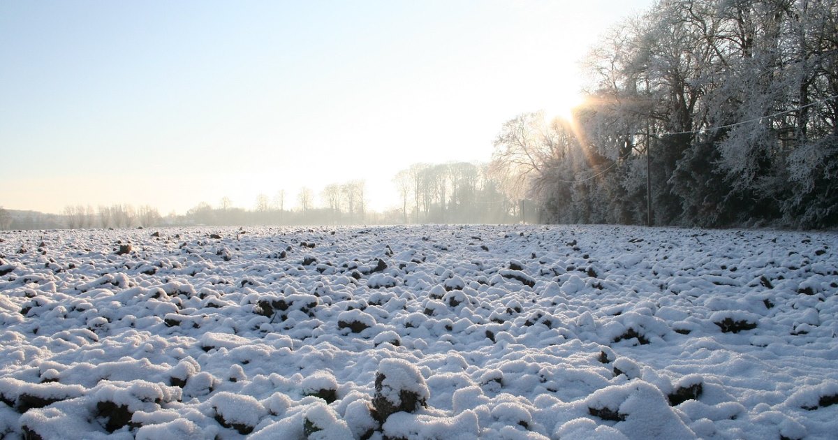 finger lakes weather forecast february 1