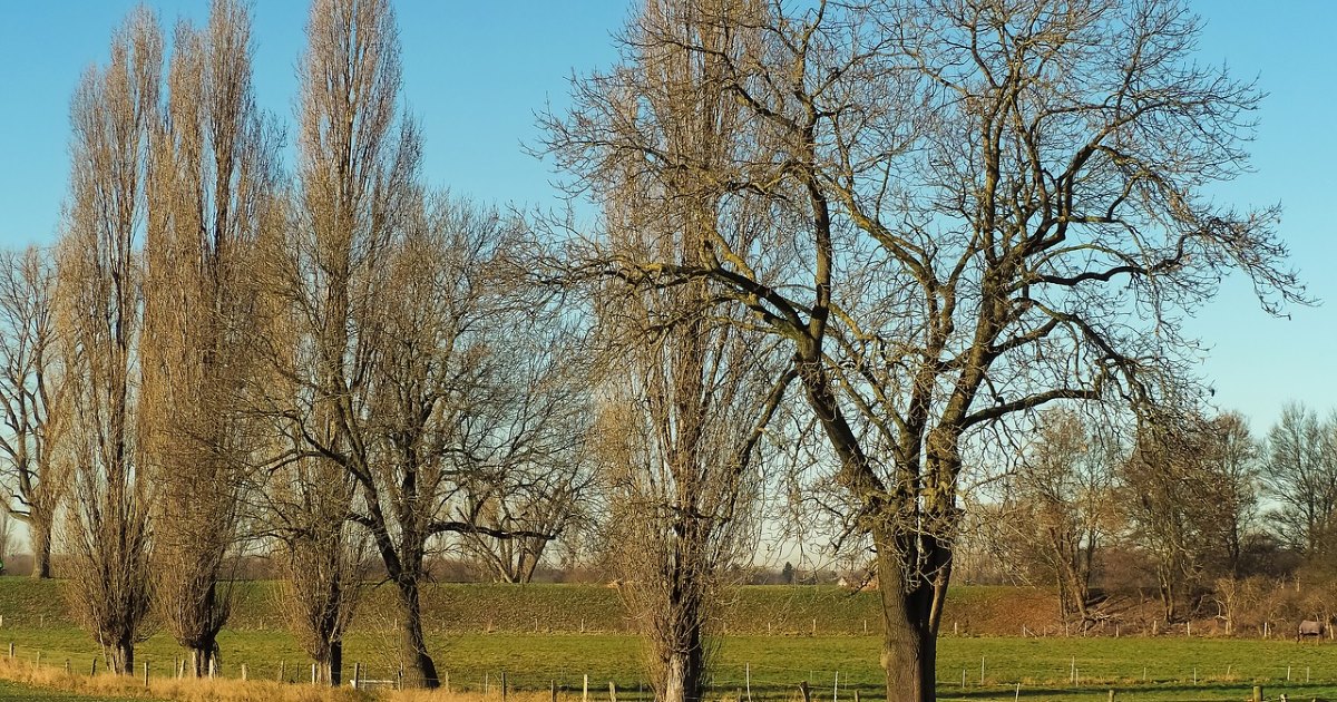 finger lakes weather forecast warm temperatures record warm spring
