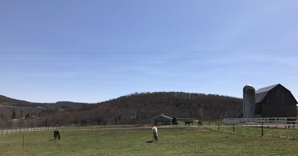 finger lakes weather forecast week
