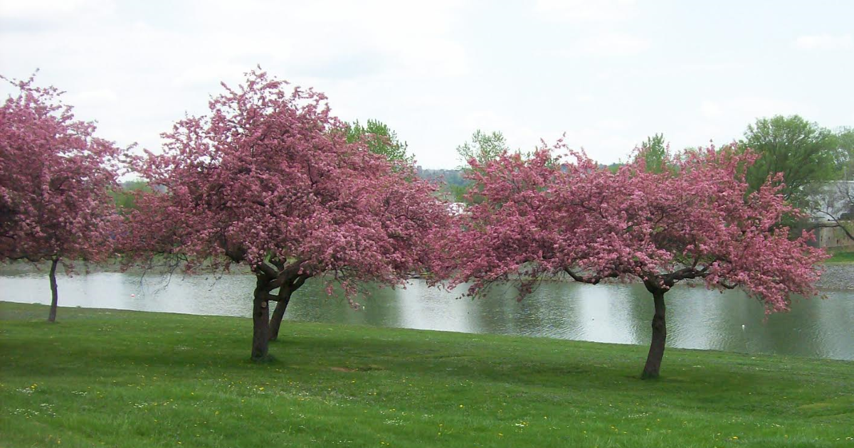 finger lakes weekend weather forecast april 29 april 30